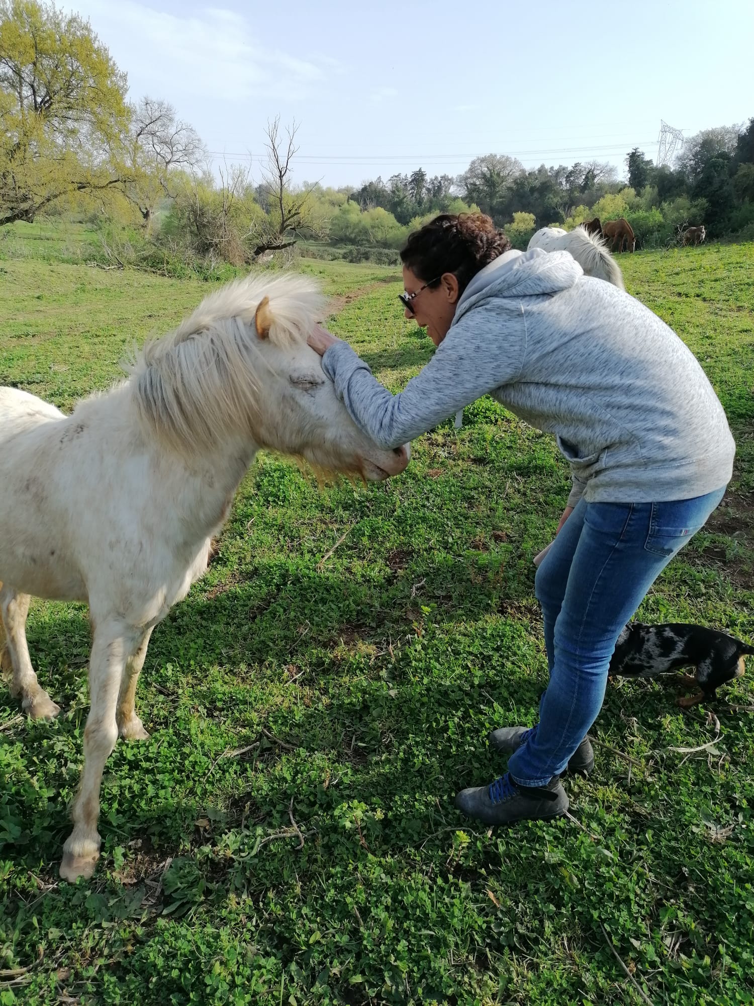 Ragazza che accarezza un pony nel prato del centro ippico