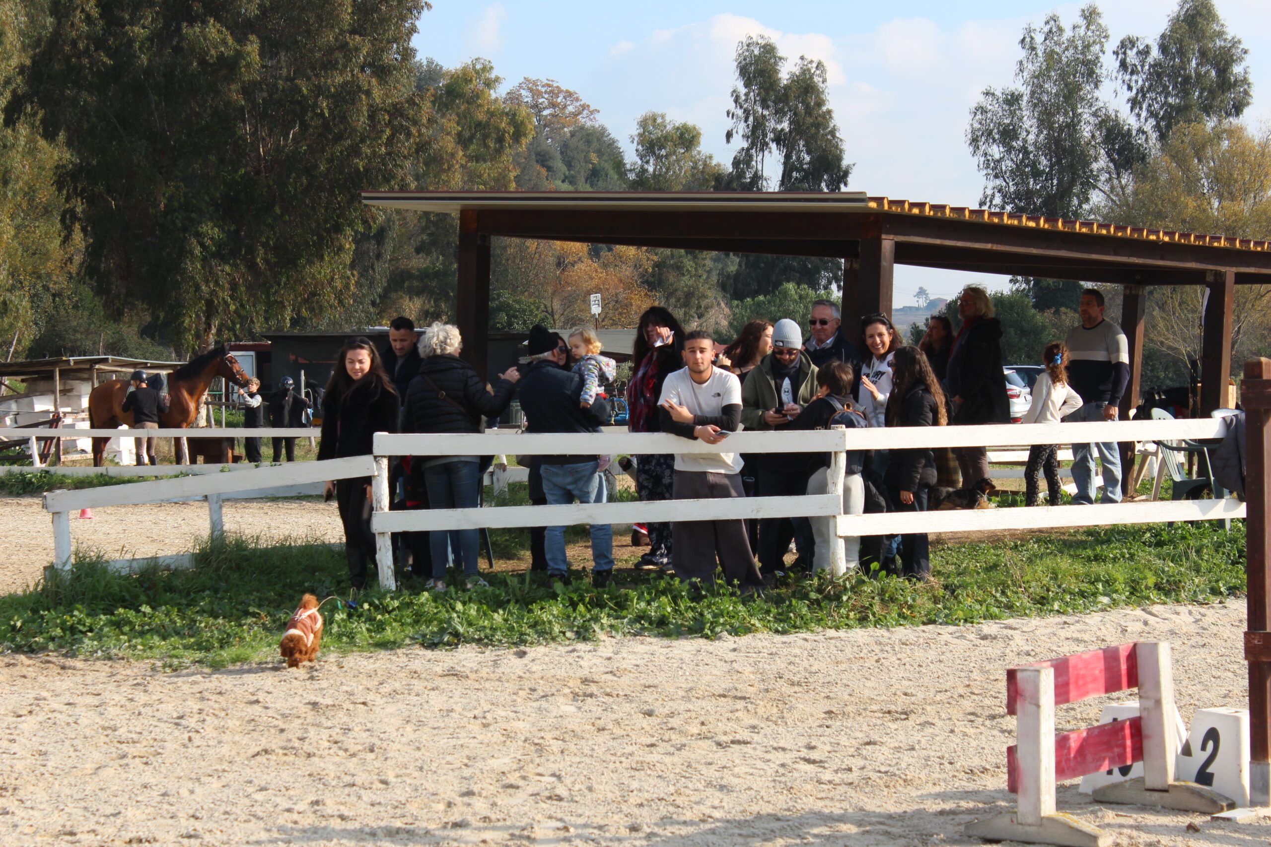 Famiglie che assistono alla lezione nel campo di equitazione