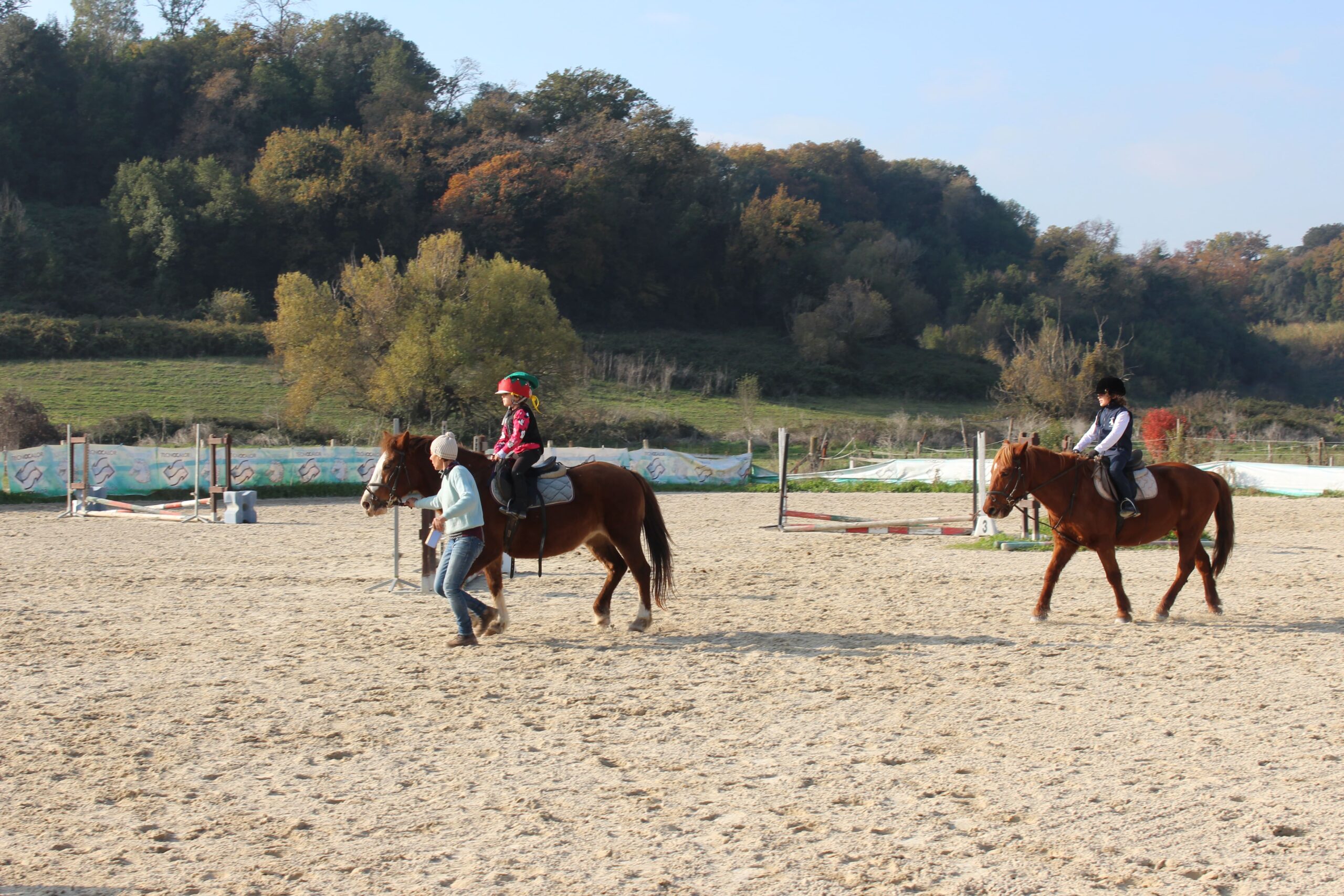 Lezione di equitazione in campo